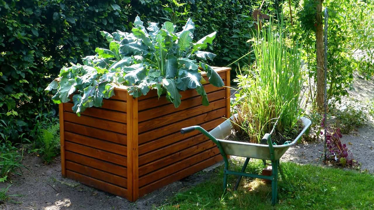 Raised Garden Beds